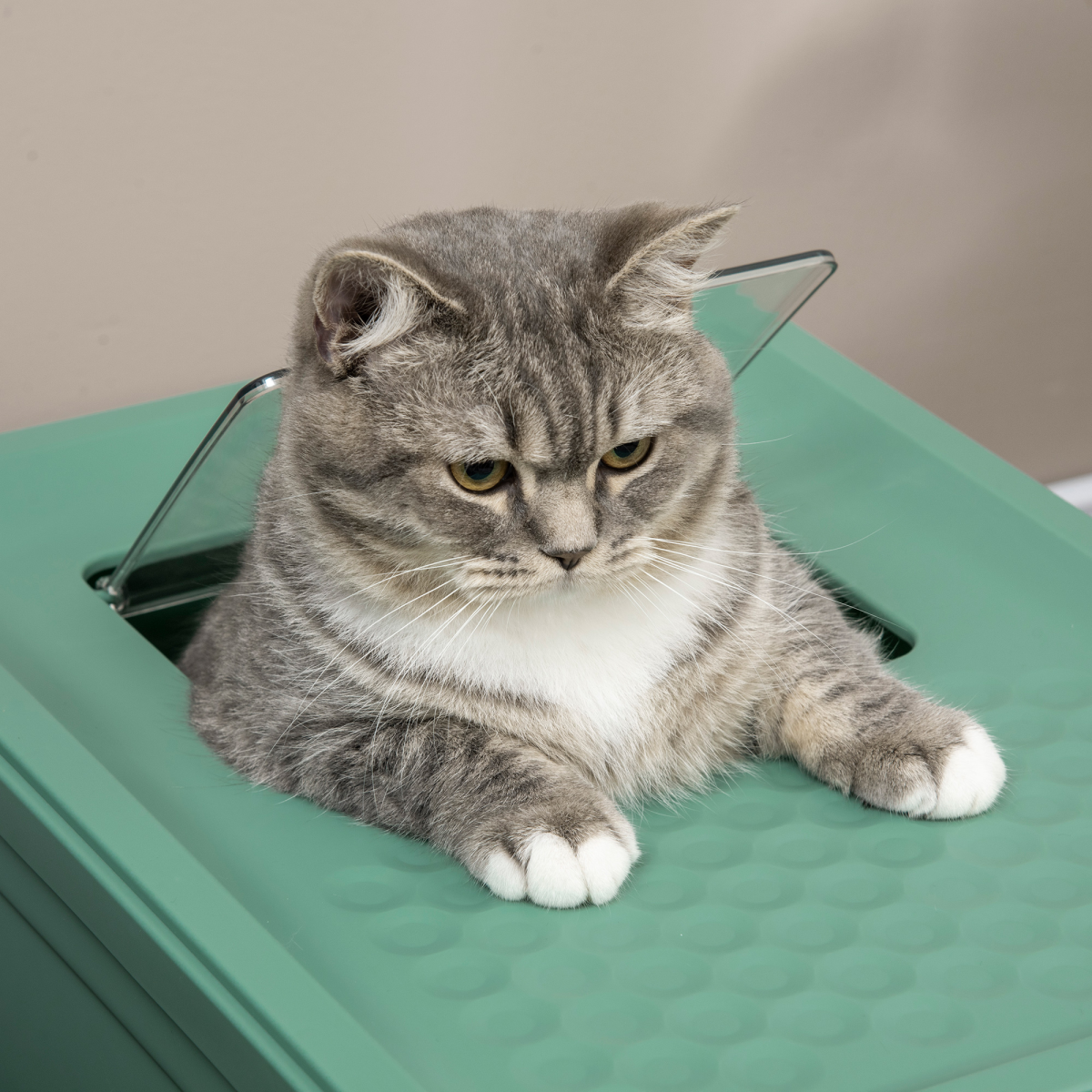 Hooded Cat Litter Box - Sage Green