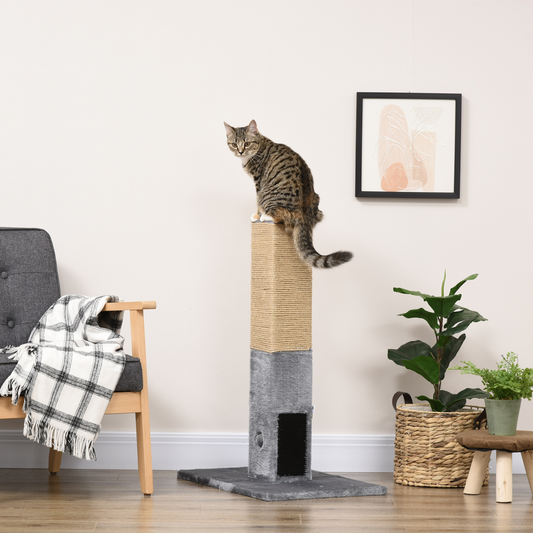 Extra Large Cat Scratching Post